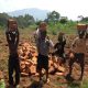 Children helping build house by carrying bricks