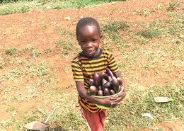 Boy selling the aubergines