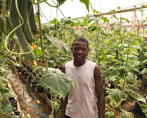 One of the street boys now growing cucumbers