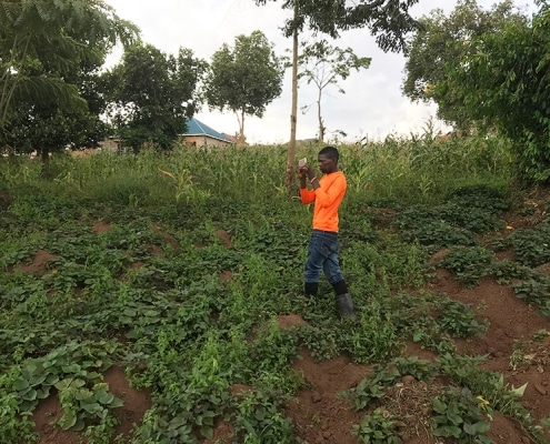 One of the street boys inspecting land
