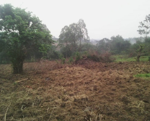 One our boys new land