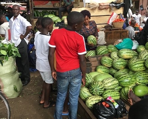 Shopping for watermelons in Kampala