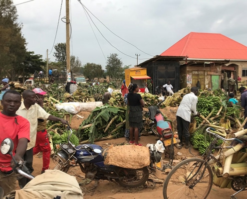Buying Matoke at a market
