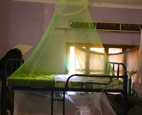 New mosquito nets
