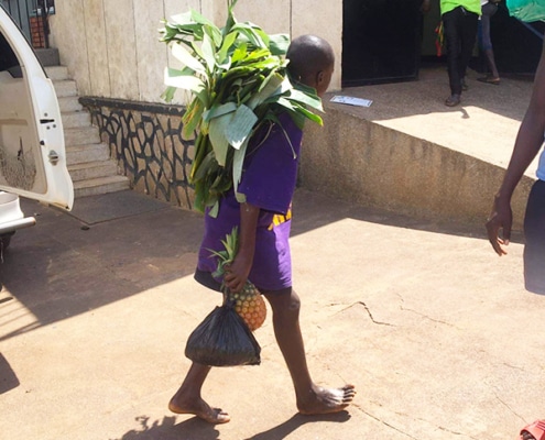 Boys carrying banana leaves for cooking