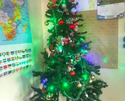 HoP Christmas Tree
