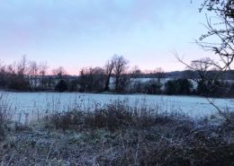 The sunrise in Enfield