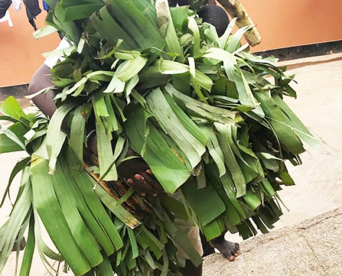Unloading banana leaves for cooking