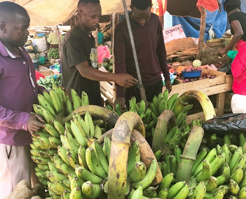 Buying Matoke in Uganda