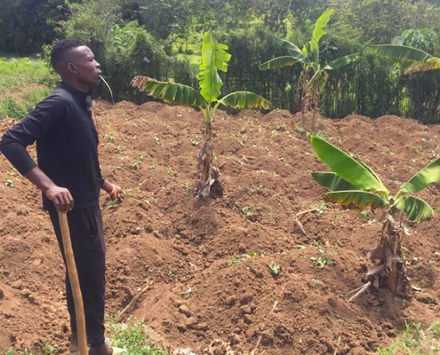 One of our former boys planting food to grow