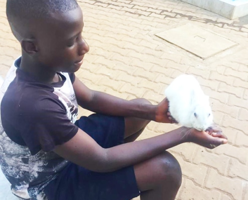 Victor with our pet rabbit