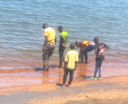 Boys playing at the water's edge