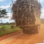 Lorry carrying sugar cane in Kiricampocha!