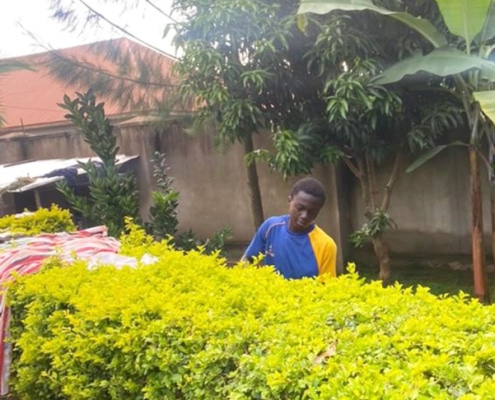 Former street child working on the garden