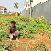 A boy from charity planting vegetables
